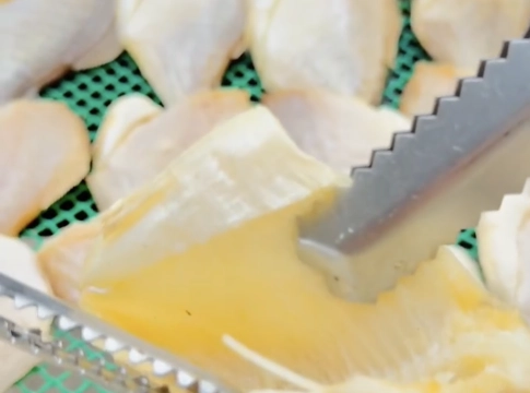 Khô Cá Chim Nâu hút chân không