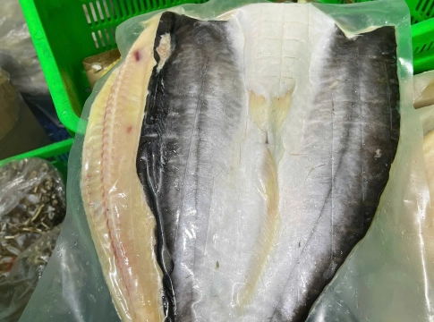 Khô cá dứa bao nhiêu 1kg