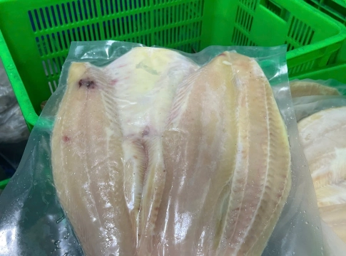 Mua khô cá dứa làm quà