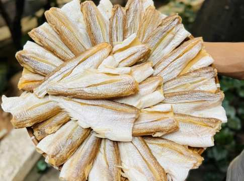Vựa khô cá dứa Tphcm