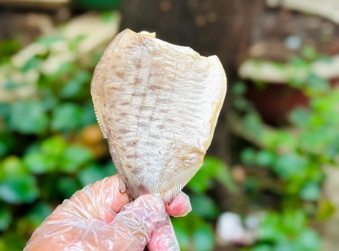 KHÔ 1 NẮNG – ĐẬM VỊ TƯƠI NGON, CHUẨN NGON KHÓ CƯỠNG